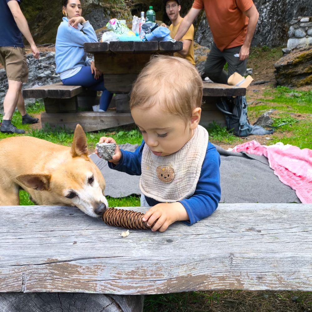 Familia compartiendo tiempo con su perro