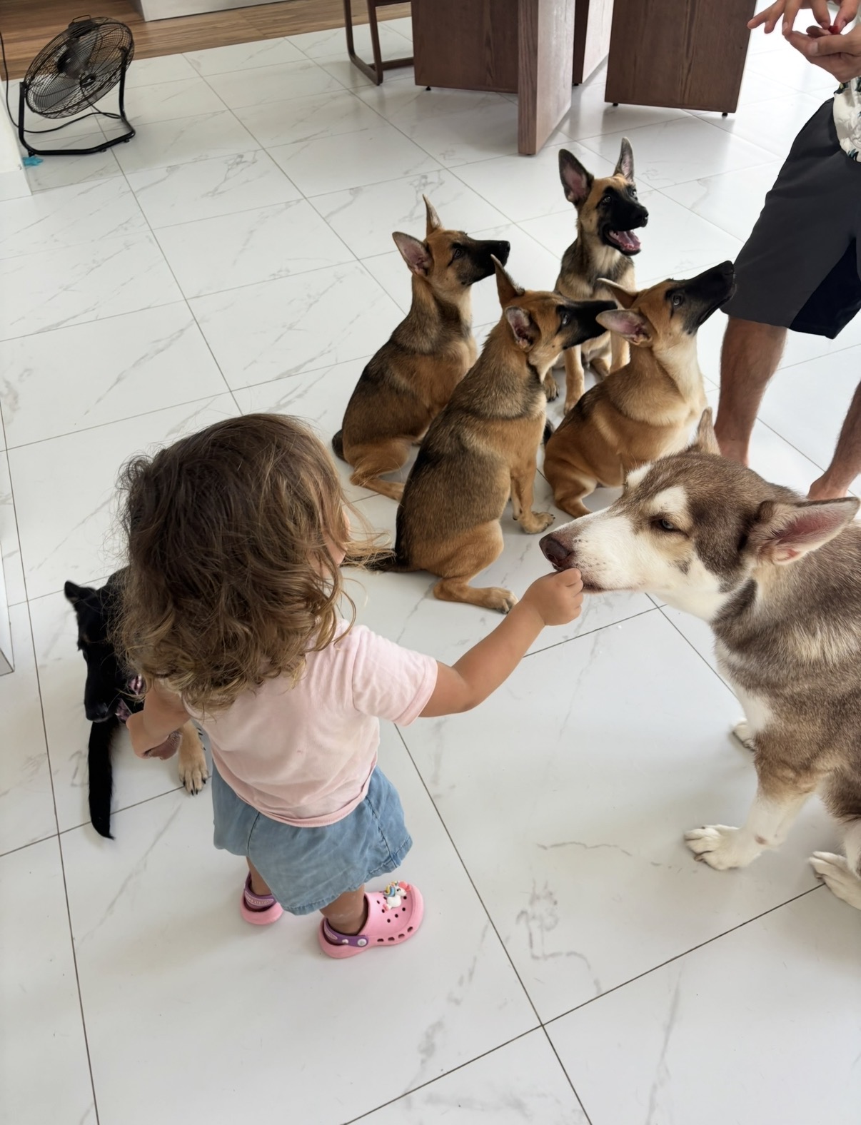 Familia compartiendo tiempo con su perro