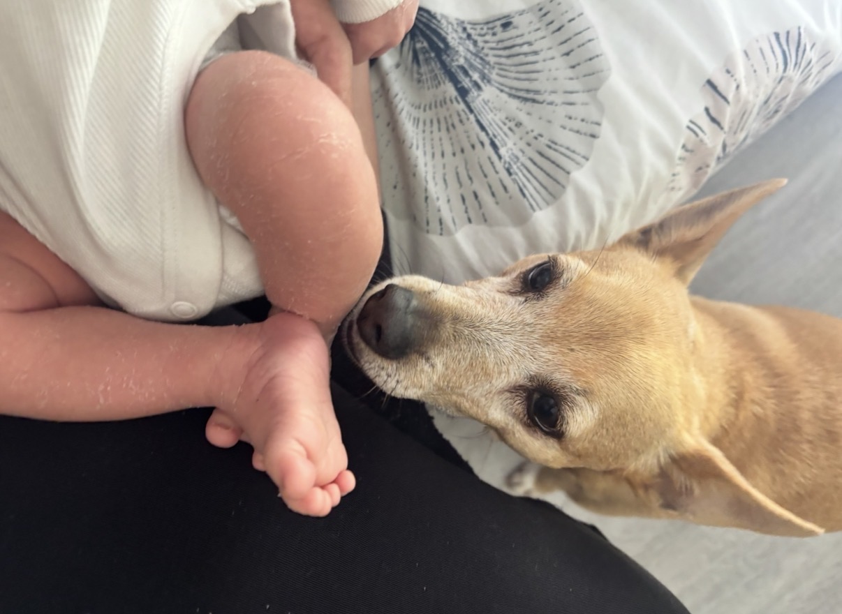 Familia compartiendo tiempo con su perro