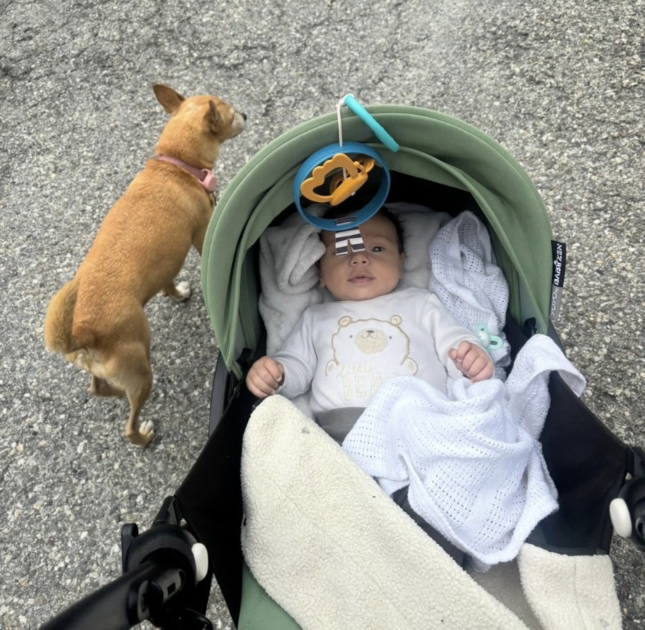 Familia compartiendo tiempo con su perro