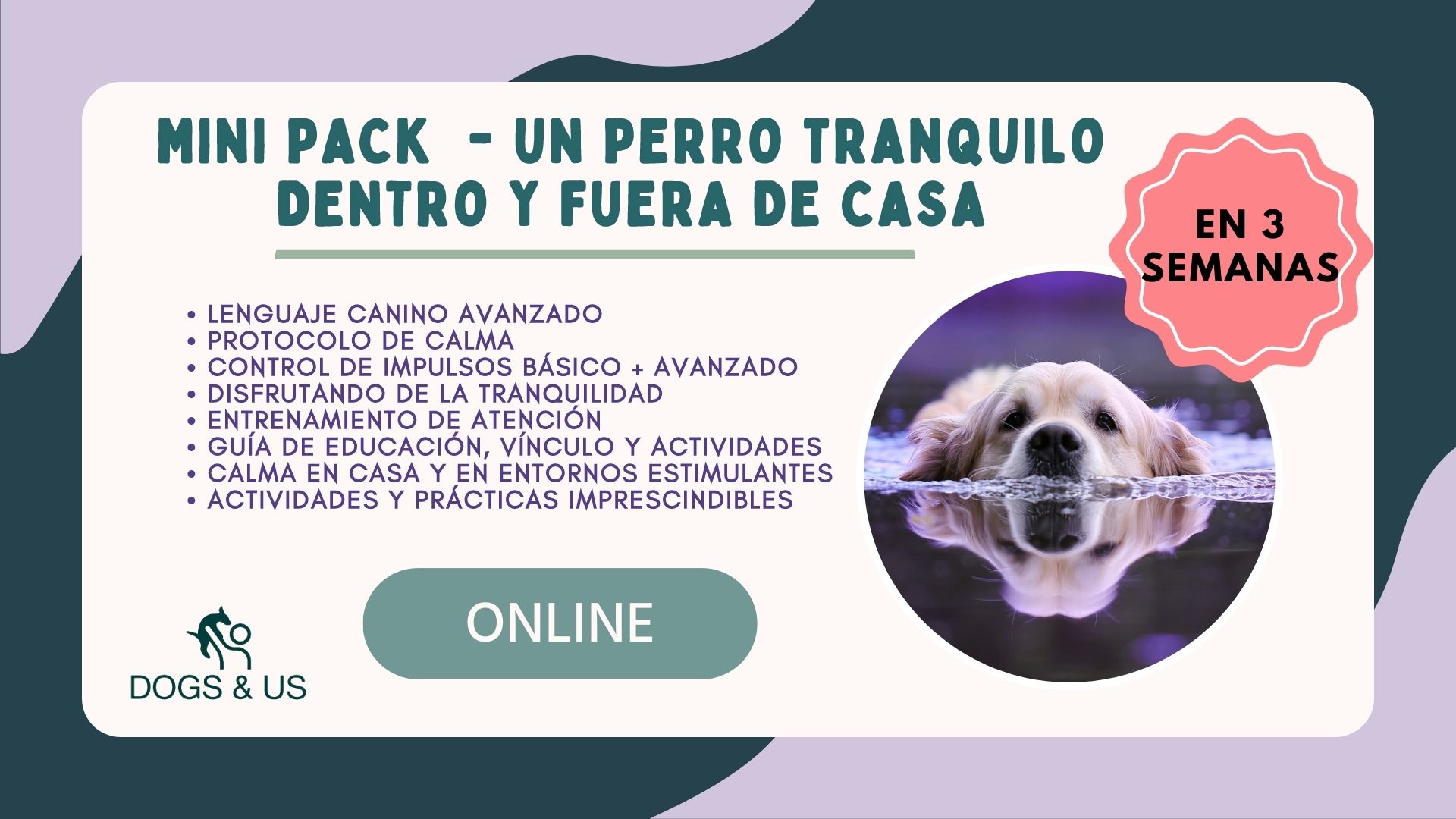 Diario Entren DOG DANCE - Cursos Online de Educación Canina y  Adiestramiento de Perros - Escuela de Formación Canina Online