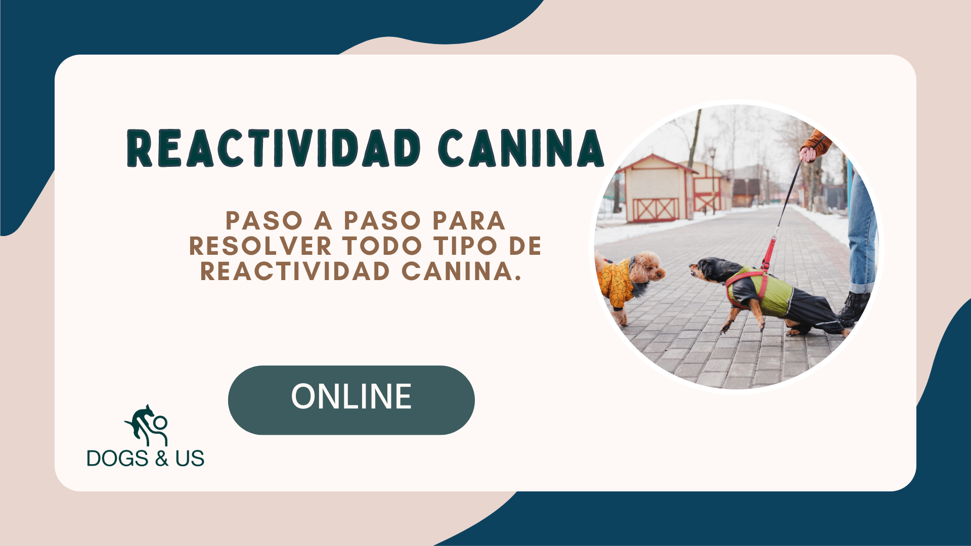 Diario Entren DOG DANCE - Cursos Online de Educación Canina y  Adiestramiento de Perros - Escuela de Formación Canina Online