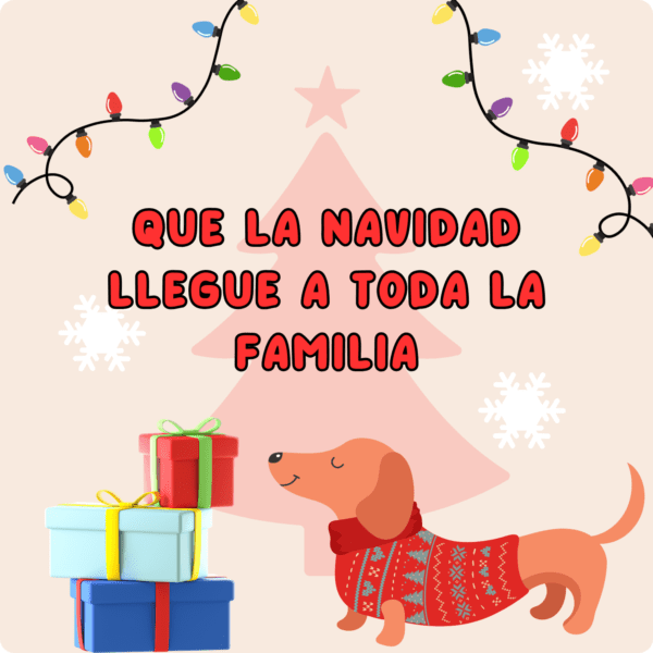 Box Navideña - Imagen 4