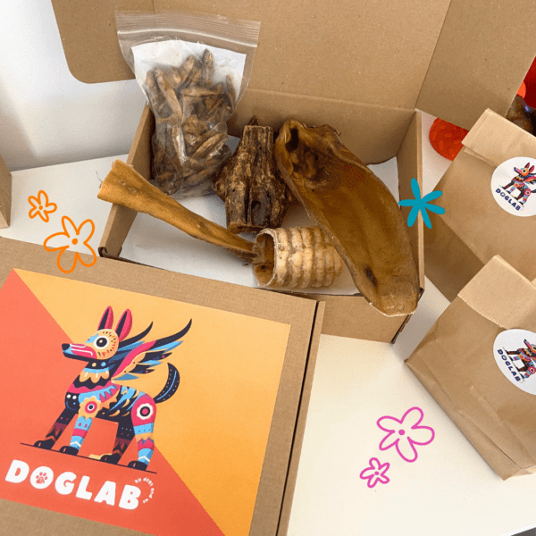 Box de masticación para razas medianas - Imagen 2