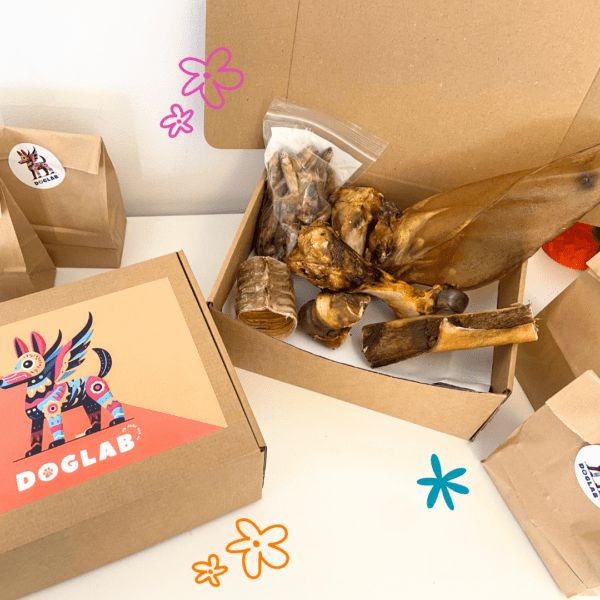 Box de masticación razas grandes - Imagen 2