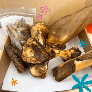 Box de masticación razas grandes