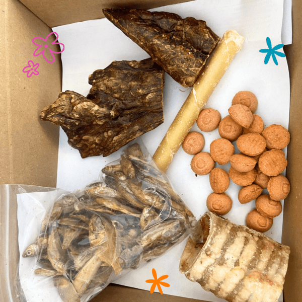 Box de masticación razas pequeñas