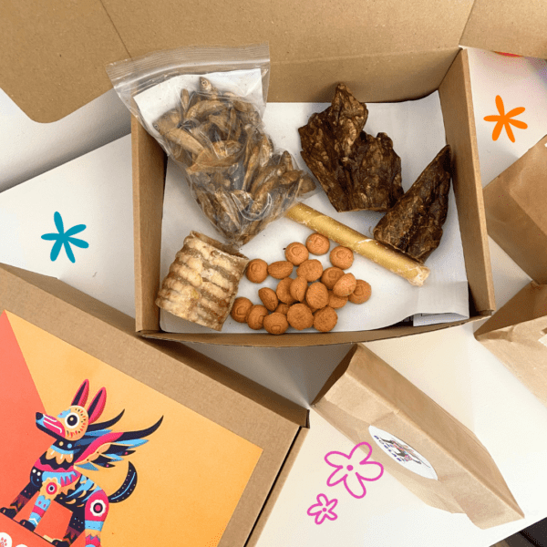 Box de masticación razas pequeñas - Imagen 2